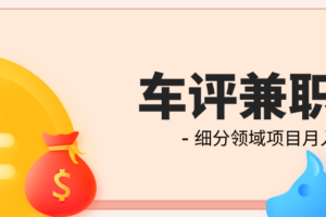 细分领域项目——2个人写口碑车评月入3万