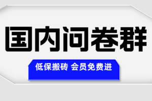 【问卷调查群】低保搬砖，有人带车日赚50~100，会员专属