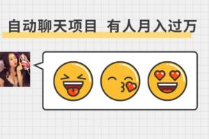 聊天挂机项目：自动聊天赚钱，单窗口20~50（教程+脚本）